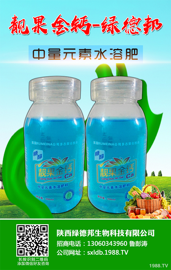 �����߲�����ЩƷ�N�������߲˵ķNֲ�l����ע�����