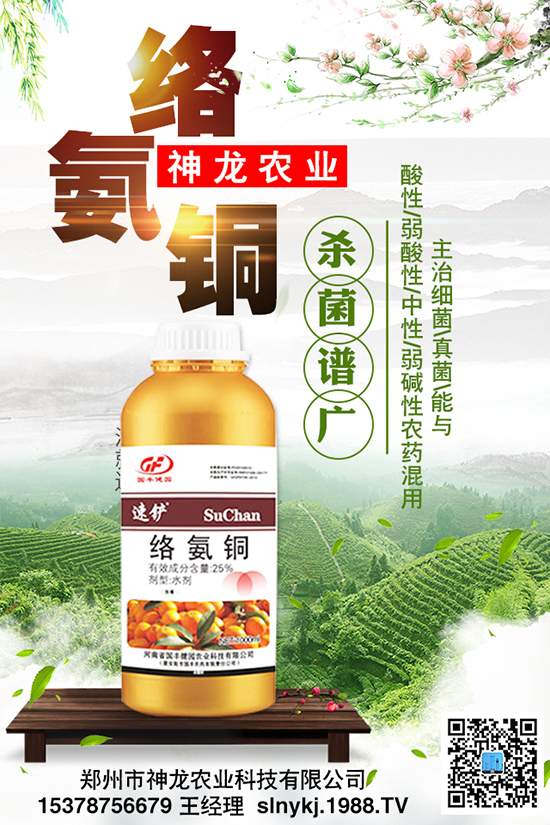 ���Ϻò������|(zh��)�����P(gu��n)�I��Ч���������������Ҫ��