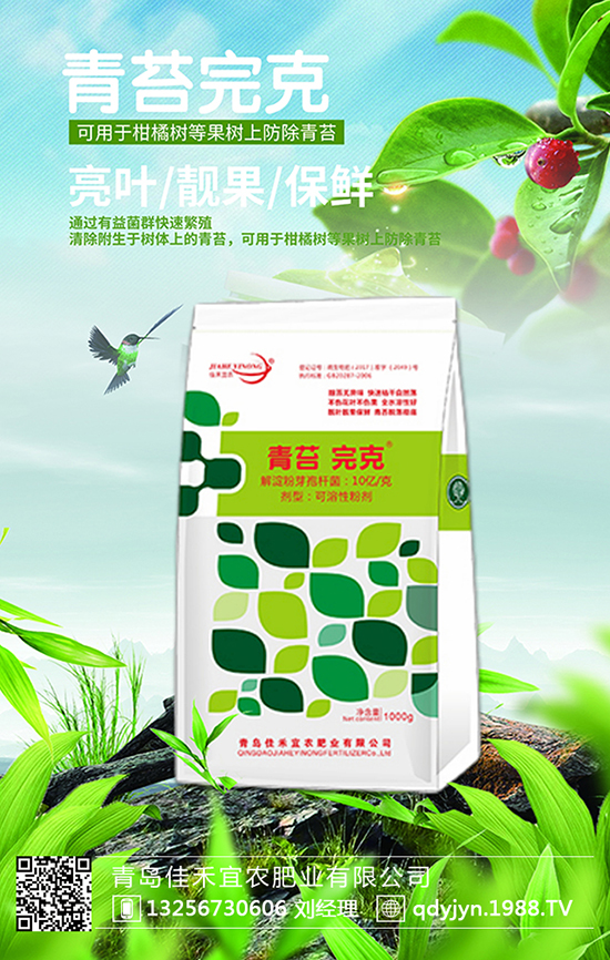 8�N���ϡ����ƈF(tu��n)�����ۂ������^�׷N����