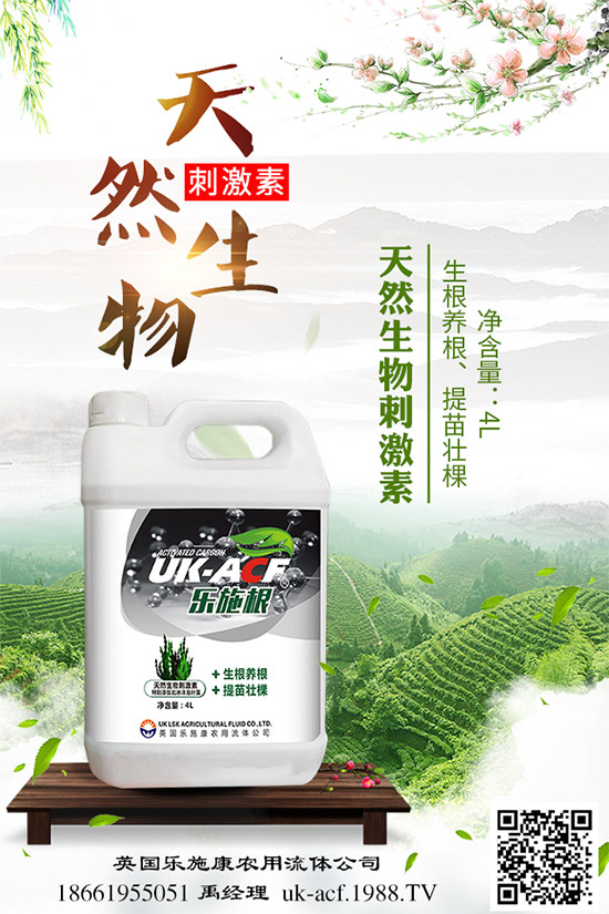 冬季該如何栽培馬鈴薯?七步輕松獲得高產(chǎn)