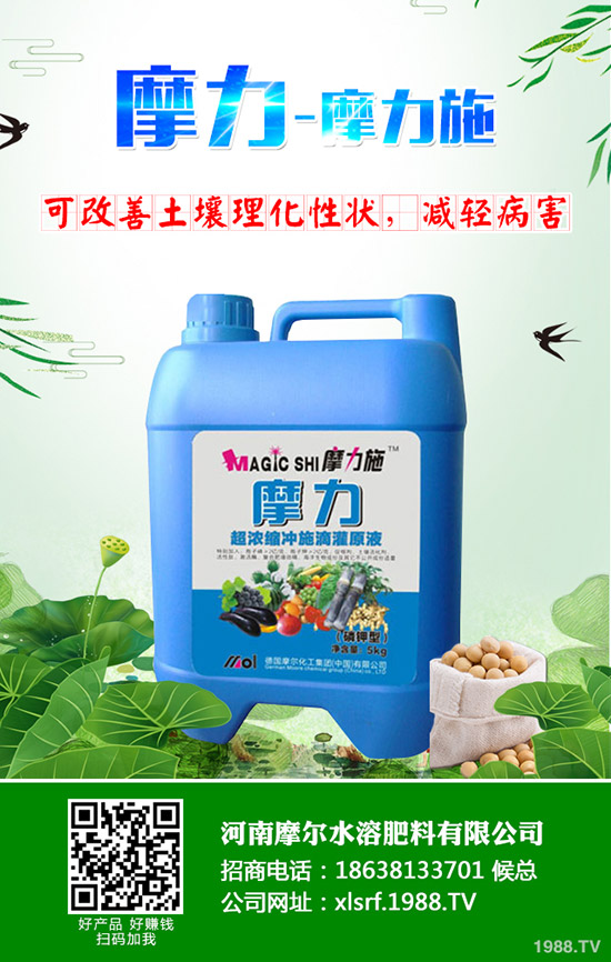 �����ʲô���Ϻ������ʩ�ʼ��g����Щ��