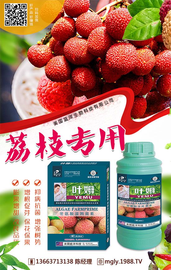 �t�탦�ص��������t�탦������Щ������