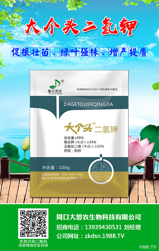 洋薊該如何種植?洋薊高產(chǎn)種植技術(shù)方案