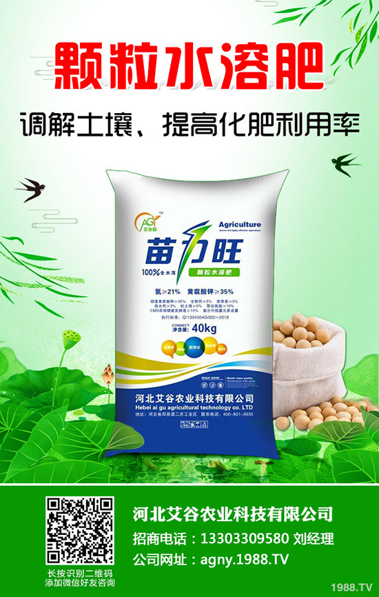 ���Ĳ�����ʩ�ʮa(ch��n)���������Ĳ�ʩ�ʼ�������Щ��