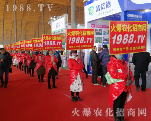     2019�ӱ�ʯ���fֲ�����ϻ��r(n��ng)���W(w��ng)��Ӣ�ɳ�������(zh��n)����