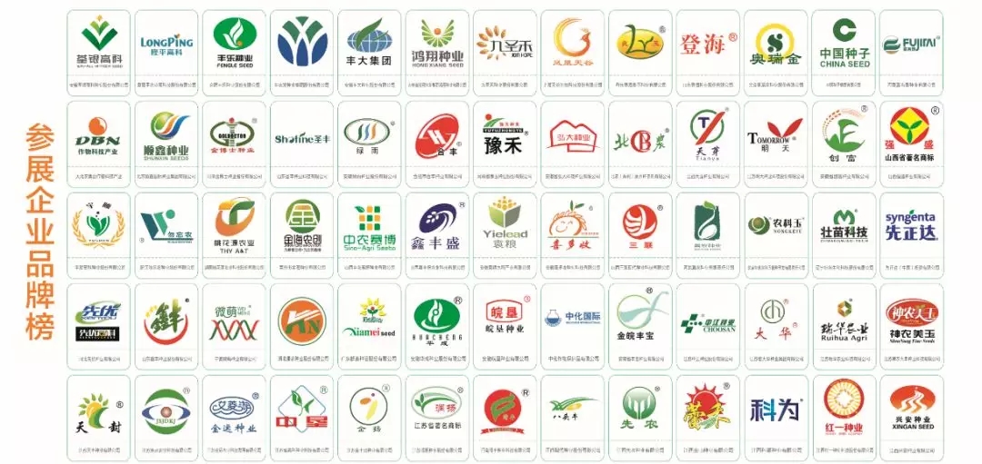 2019ȫ���N���p�����όÅ�չ��I(y��)