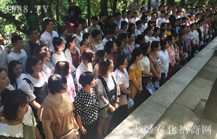 ����˼�𣬲����������ƵZǰ����