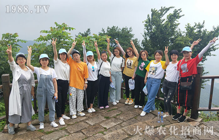 �������ģ���P�tɫ����