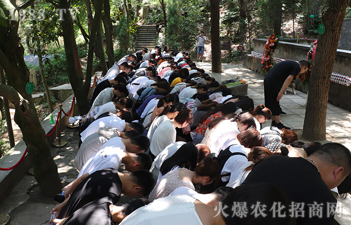 ���������(y��ng)����һ�ӵľ�����һ�ӵ�ɽ����һ�ӵļtɫ֮����