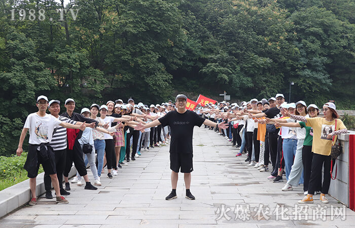 �o(j��)�����ʮ����tɫ����֮��