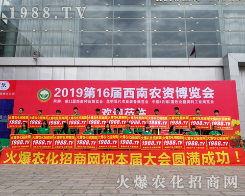     2019�����r�Y���[�������r���W(w��ng)�������o̎����