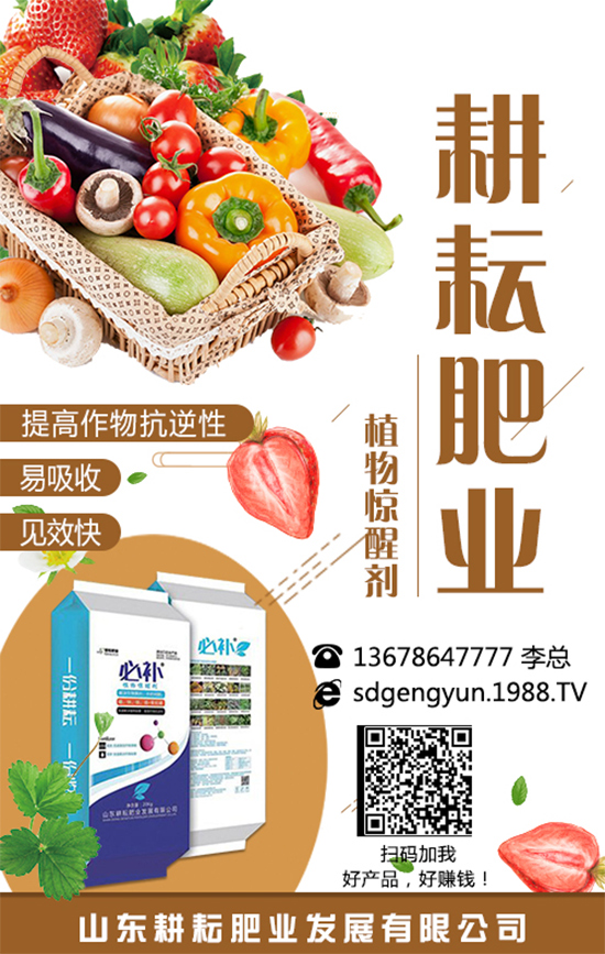 ���؃r(ji��)����m(x��)�»������վֲ��^(q��)�������Ј�����2019��8��13��