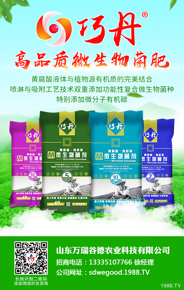 �z����˥��ô����Ч�������z����˥���η���