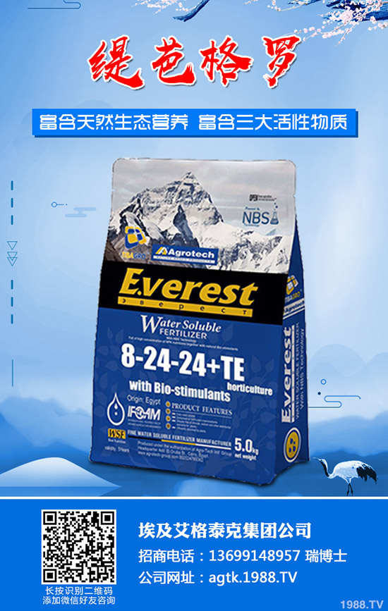 ����ʲô�r(sh��)�g�������������緽��