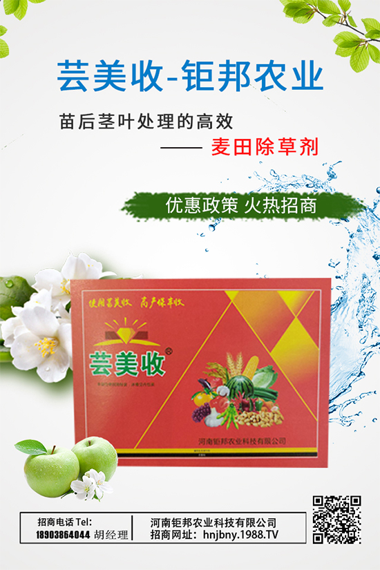 ���[������������[ʩ�ʼ��g(sh��)Ҫ�c(di��n)����Щ��