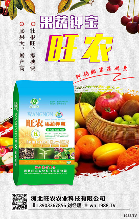 ��������ķNֲ�r(sh��)�g������������������Ҫ�c(di��n)����Щ��