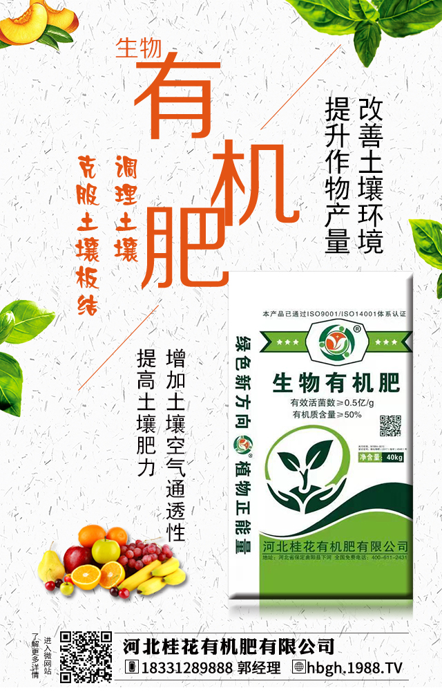 �ӱ����ЙC�����޹�˾1