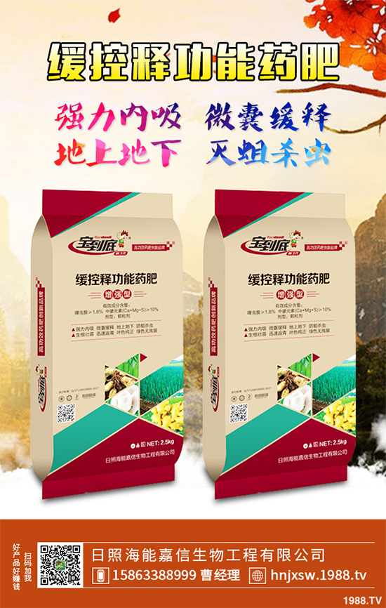 �۲�ԓ��ηNֲ��ע��Щʲô���۲˸߮a(ch��n)�Nֲ����