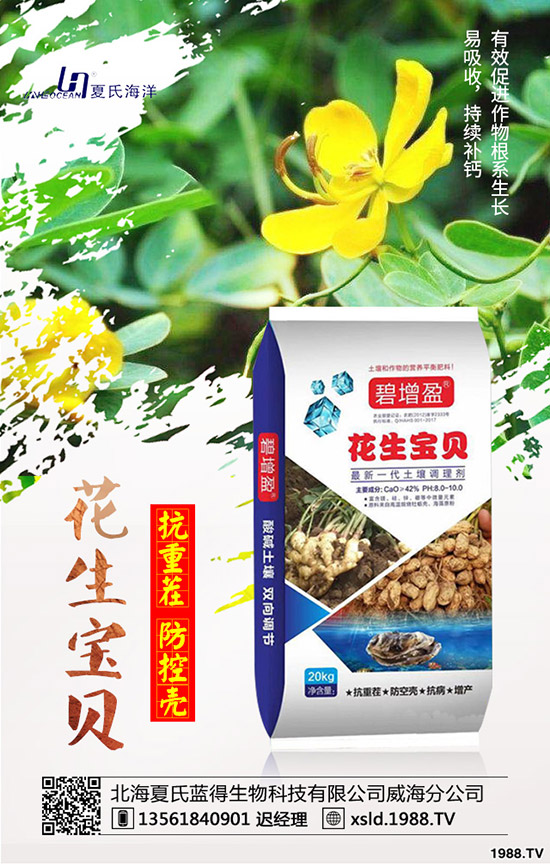 ���{(l��n)���Nǰ����������{(l��n)���߮a(ch��n)�NֲҪ�c(di��n)��