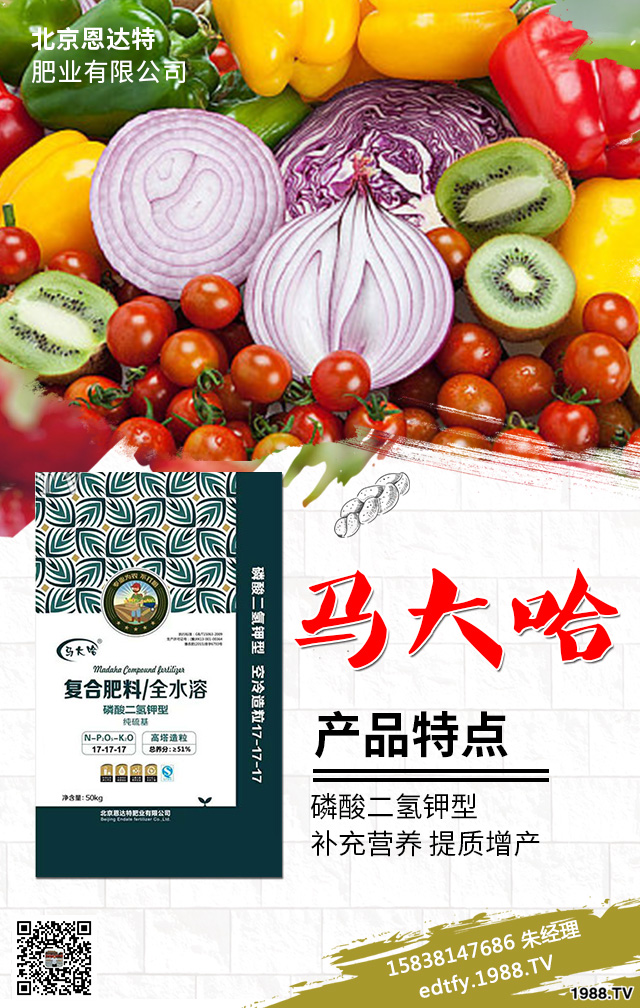 �����߲�ʩ���д�����Щ���}�������߲˷Nֲ���g(sh��)