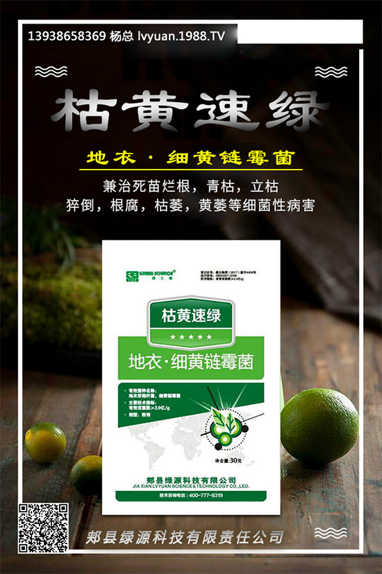 �۲����߲�����ЩΣ��������ΰl(f��)���ģ��۲����߲��İl(f��)���c����