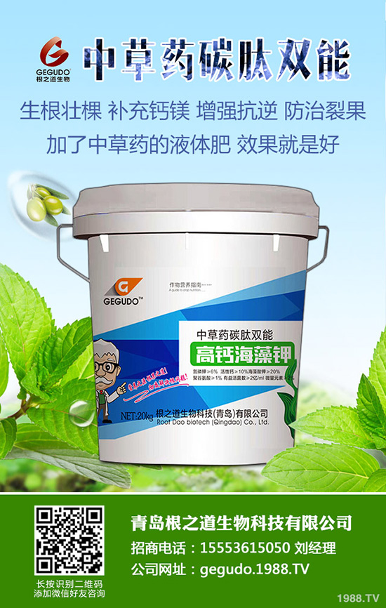 2019-8-28�ͺϷʃr���Ј������Ո�