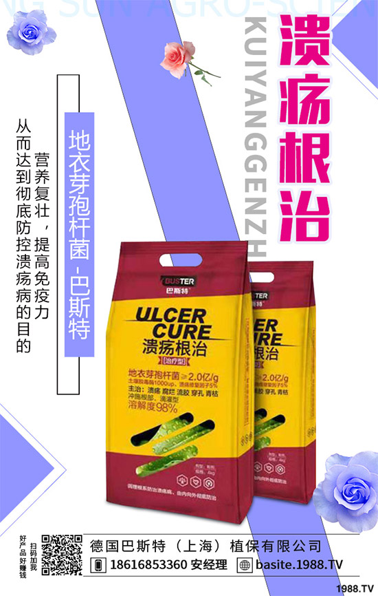 ������һ���Ǽ�(x��)���Բ��������e���e����Ƚ���������������ɷ����Ν�������