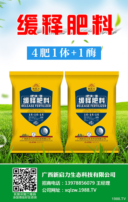 2019年8月下旬國內(nèi)二銨市場(chǎng)價(jià)格行情綜合分析