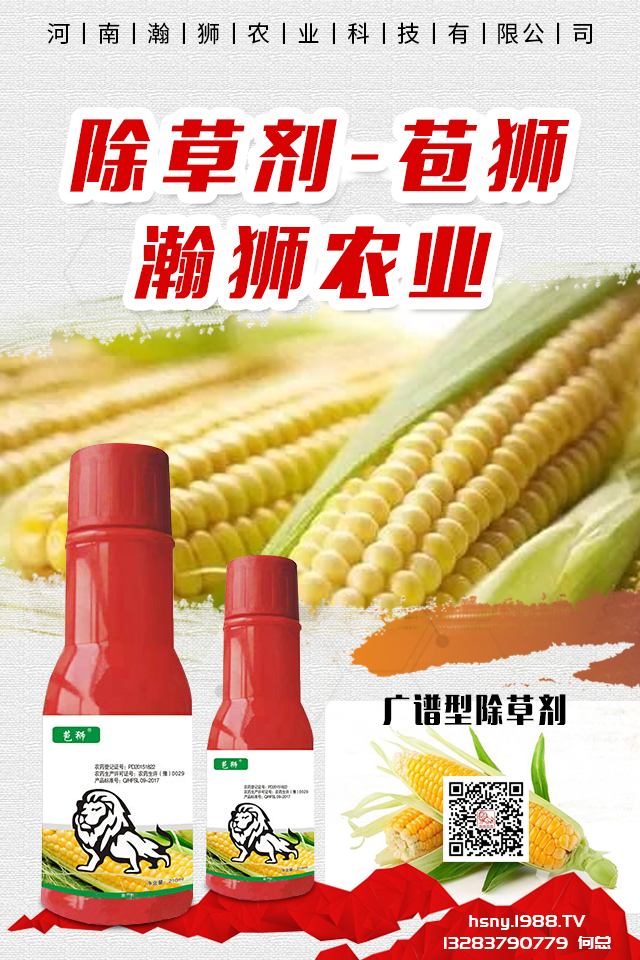 �������x����N���ò������������x����N����B