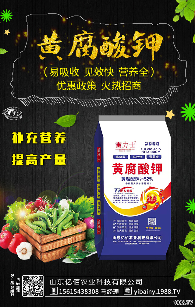 �������ʩ�ʼȽ�(j��ng)��(j��)���ֽY(ji��)������