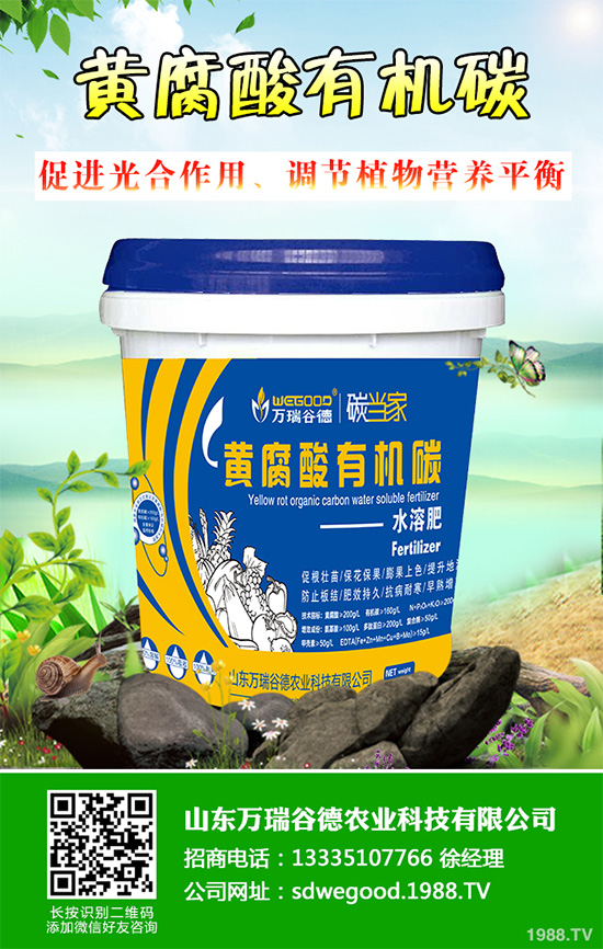     ��(f��)�Ϸʃr��