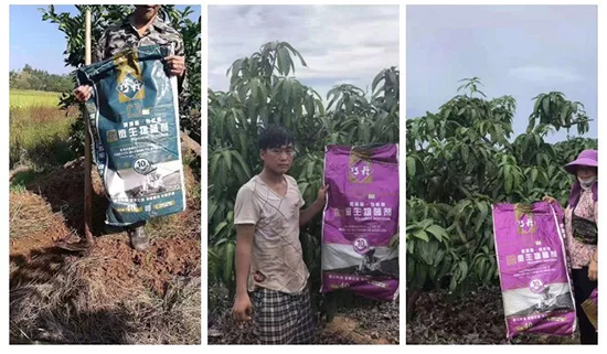 ��΢�������+�ЙC(j��)�ʡ�Ч��ţ�ƣ�ʩһ���������ʡ���ָ߮a(ch��n)��