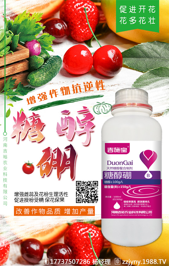 葡萄缺硼在果上葉上表現(xiàn)癥狀!什么時候補硼?葡萄補硼時間及技術(shù)!