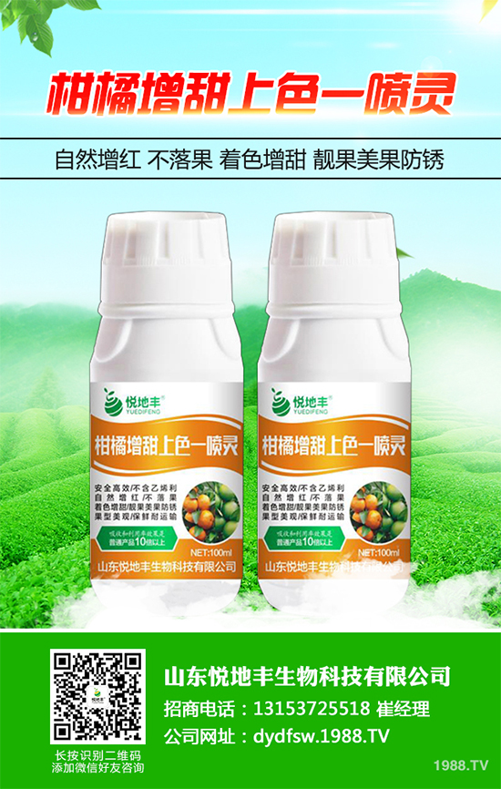 西蘭花該怎么種植?西蘭花高產(chǎn)種植技術(shù)要點