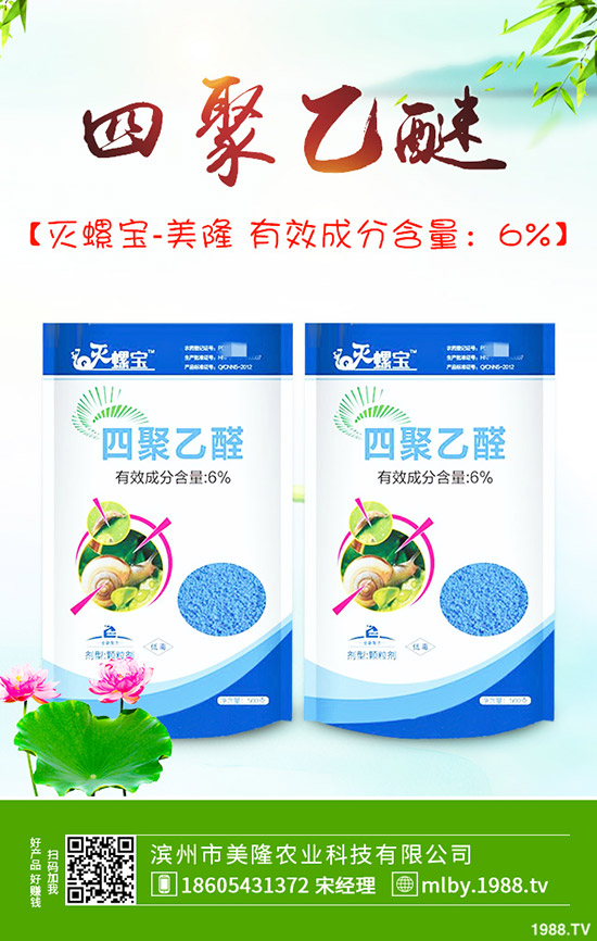 茄子該不該摘葉，茄子摘葉如何操作？