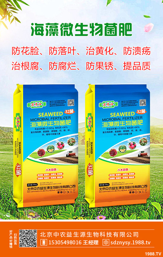 茄子什么時候種植，茄子一般幾月成熟？