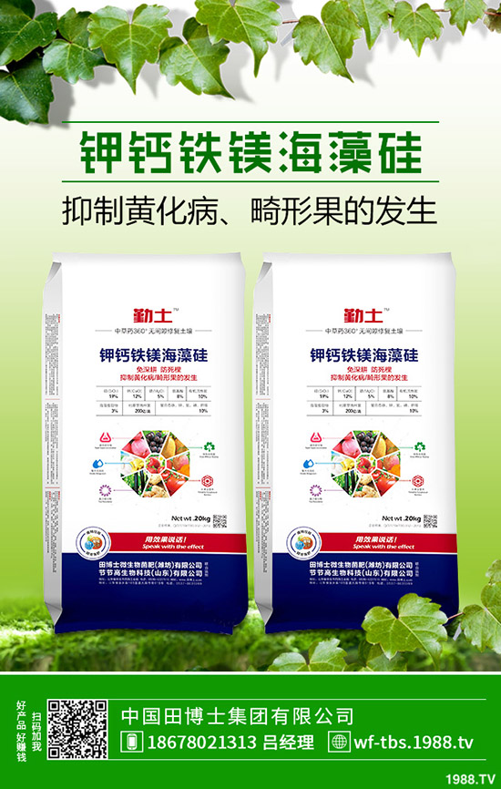 �ﶬ�����S����ηNֲ���ﶬ�S�ϵķNֲ����������������