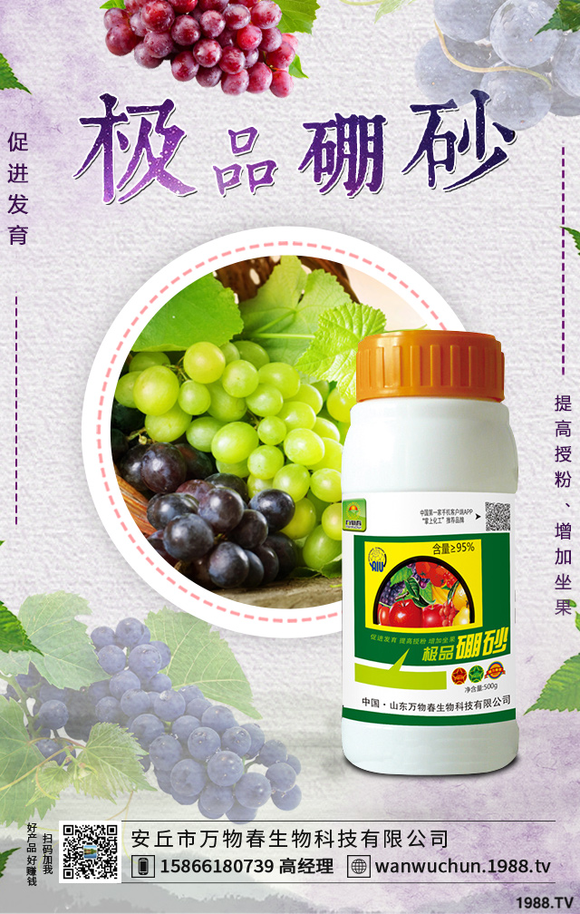 ����������ѵķ����������������ӷ�����������