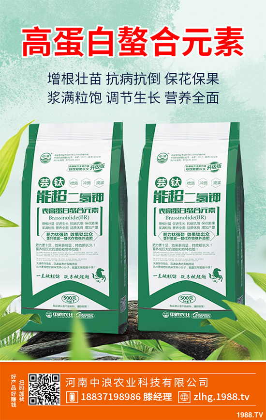 ���ʲô�r��NֲЧ���������˸߮a(ch��n)�Nֲ���g(sh��)Ҫ�c