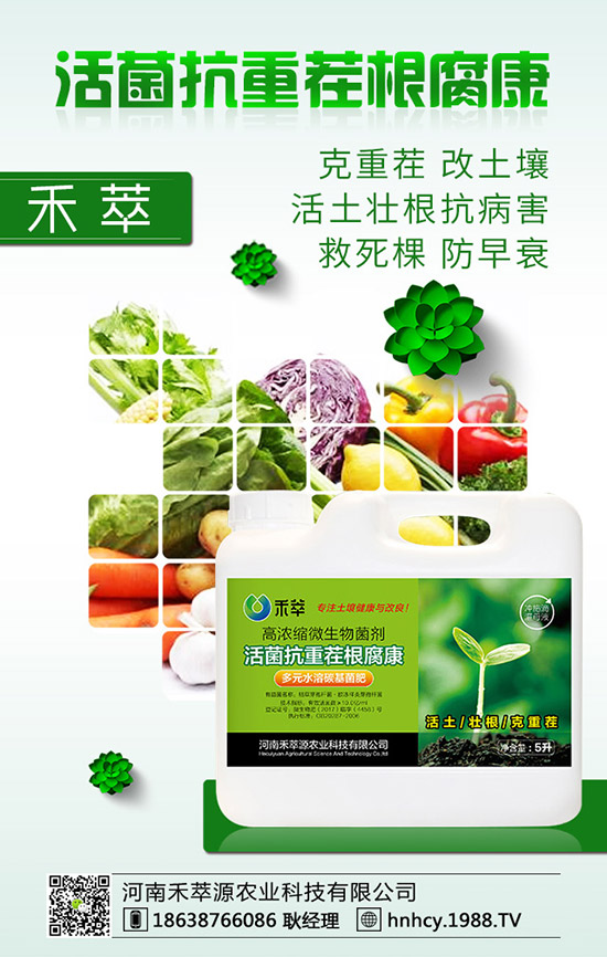 ����÷��ô�޽�������÷�޽ӷ�����