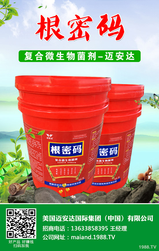 �����Jʲô�r(sh��)��Nֲ�������J�Nֲ���g(sh��)��