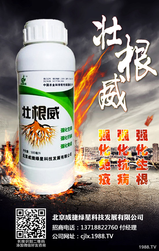 �ཷ�ķNֲ��������Щ���ཷ�Nֲ�^(gu��)������Ҫע��Ď״�(w��n)�}