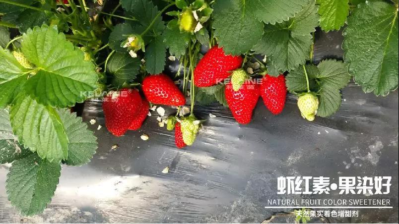 ��Ȼ����(sh��)��ɫ�����������r�t�ء��Ⱦ����