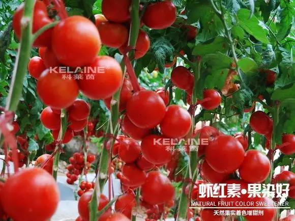 ��Ȼ����(sh��)��ɫ�����������r�t�ء��Ⱦ����
