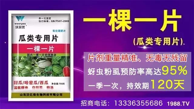 ���x���wʭ��������һƬˎ�p�ɸ㶨���A����95%����Ч�L�_120����