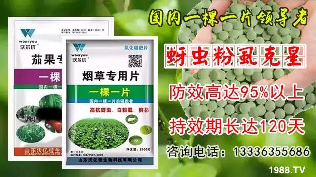 ���x���wʭ��������һƬˎ�p�ɸ㶨���A����95%����Ч�L�_120����