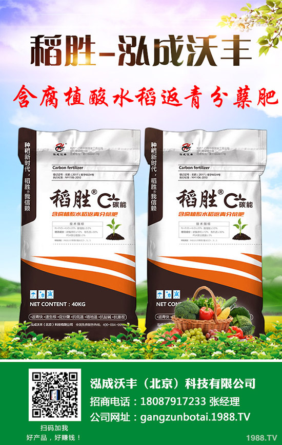     �R��������������؃r(ji��)�񯂝q�����������������2019-9-12