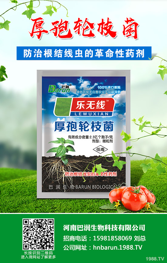 ��֦���~��ô�޼�����֦���~�޼�������