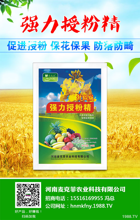 �������Щ�I(y��ng)�B(y��ng)�r(ji��)ֵ���Խ������Щ��̎����˵Ĺ�Ч�c����