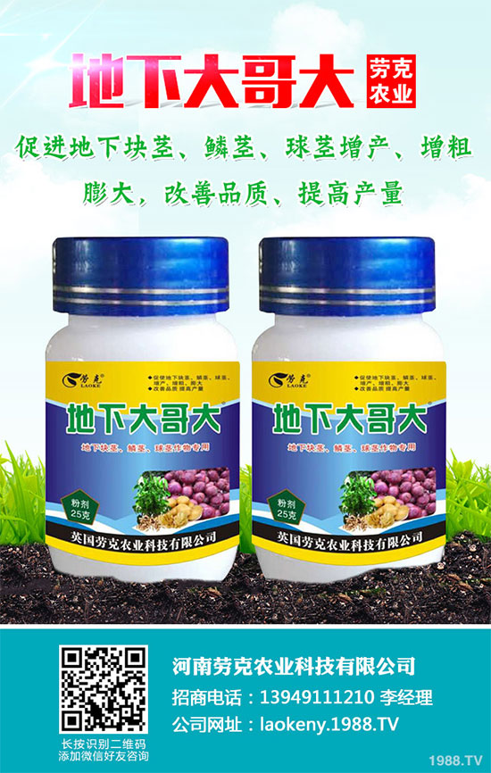 �������Щ�I(y��ng)�B(y��ng)�r(ji��)ֵ���Խ������Щ��̎����˵Ĺ�Ч�c����